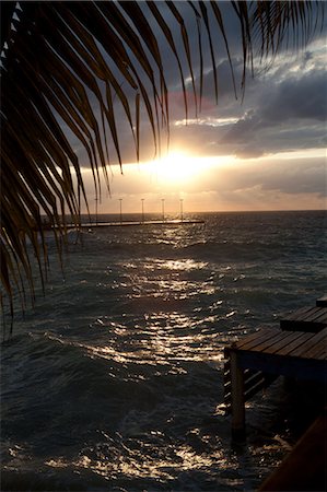 simsearch:614-05955565,k - Sunset over Caribbean Sea, Grand Cayman, Cayman Islands Photographie de stock - Premium Libres de Droits, Code: 6122-07697986