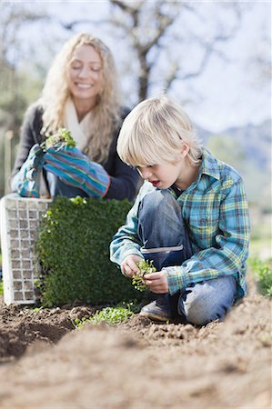 picture of a happy farming family - Mother and son planting in garden Stock Photo - Premium Royalty-Free, Code: 6122-07701655