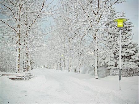 simsearch:614-06718312,k - Trees and road in snowy landscape Photographie de stock - Premium Libres de Droits, Code: 6122-07706497