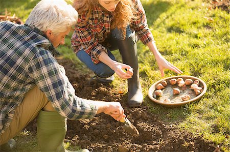 Couple gardening digging planting bulbs in sunny autumn garden Stock Photo - Premium Royalty-Free, Code: 6124-08820761