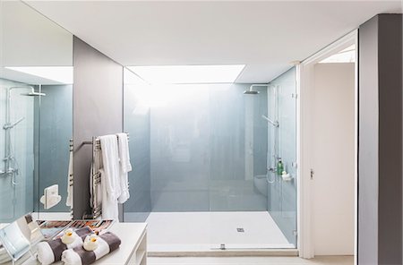 simsearch:6113-06898734,k - Modern luxury home showcase interior bathroom with shower Photographie de stock - Premium Libres de Droits, Code: 6124-08908180