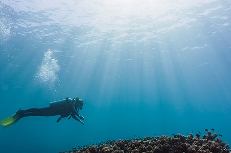 Woman scuba diving underwater, Maldives, Indian Ocean Stock Photo - Premium Royalty-Free, Code: 6124-09188655
