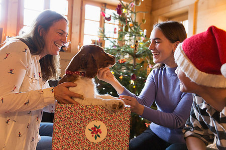 Family playing with dog in Christmas gift box Stock Photo - Premium Royalty-Free, Code: 6124-09188757