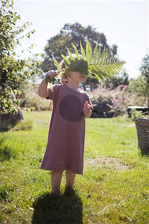simsearch:6126-08644727,k - Sweden, Skane, Girl (4-5) standing in garden holding fern leaf Stock Photo - Premium Royalty-Free, Code: 6126-08642929