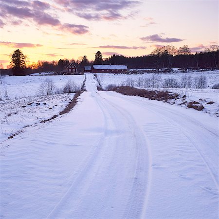 simsearch:6126-08643376,k - Sweden, Skane, Vanga, Rural road in winter Foto de stock - Sin royalties Premium, Código: 6126-08643343