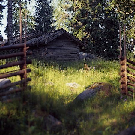 simsearch:6126-08643376,k - Sweden, Dalarna, Furudal, Picture of cottage in forest Foto de stock - Sin royalties Premium, Código: 6126-08643333
