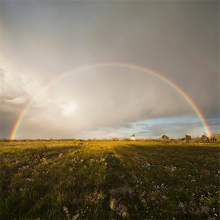 rainbow field - Sweden, Gotland, Rainbow over green field Foto de stock - Sin royalties Premium, Código: 6126-08643578