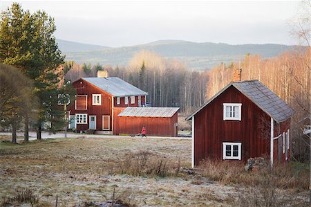 simsearch:6126-08643376,k - Sweden, Dalarna, Solleron, Red wooden houses in autumn landscape Foto de stock - Sin royalties Premium, Código: 6126-08643585