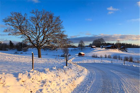 simsearch:6126-08643376,k - Sweden, Narke, Rural road in winter Foto de stock - Sin royalties Premium, Código: 6126-08644609