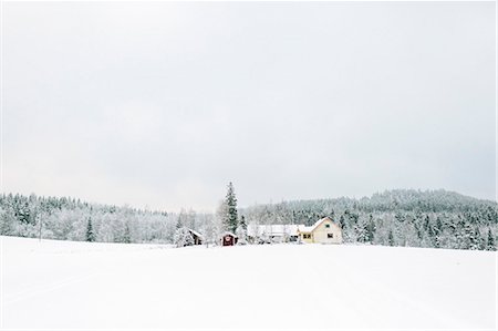 simsearch:6126-08643376,k - Finland, Jyvaskyla, Saakoski, Landscape of winter forest with houses in foreground Foto de stock - Sin royalties Premium, Código: 6126-08644876