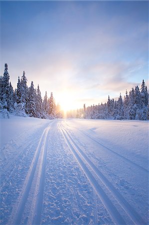 simsearch:6126-08643376,k - Sweden, Dalarna, Salen, Pine trees and country road in winter at sunrise Foto de stock - Sin royalties Premium, Código: 6126-08658847