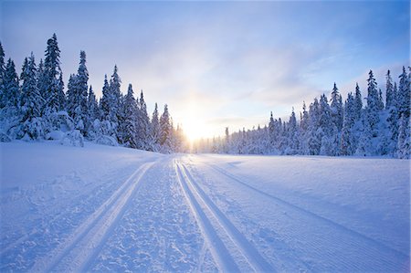 simsearch:6126-08643376,k - Sweden, Dalarna, Salen, Pine trees and country road in winter at sunrise Foto de stock - Sin royalties Premium, Código: 6126-08658846
