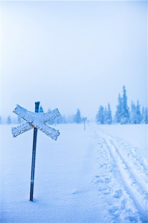 simsearch:6126-08643376,k - Sweden, Dalarna, Salen, Cross sign by ski tracks with pine forest in background in winter Foto de stock - Sin royalties Premium, Código: 6126-08658849