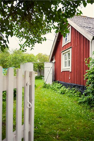 simsearch:6126-08643376,k - Sweden, Oland, Garden by red wooden house Foto de stock - Sin royalties Premium, Código: 6126-08658964