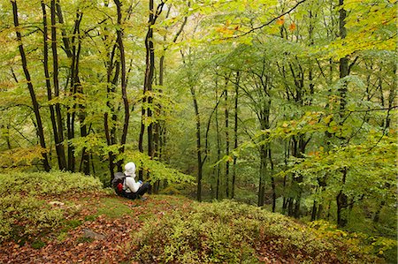 Sweden, Skane, Soderasens National Park, Klova Hallar, Mid adult woman sitting in forest Stock Photo - Premium Royalty-Free, Code: 6126-08659189