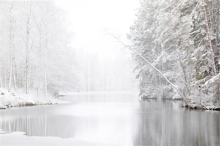 rivers and trees in winter - River and snow covered forest in Lotorp, Sweden Stock Photo - Premium Royalty-Free, Code: 6126-09102657