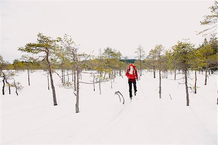 simsearch:6126-08643505,k - Mature man skiing in forest Stock Photo - Premium Royalty-Free, Code: 6126-09103744