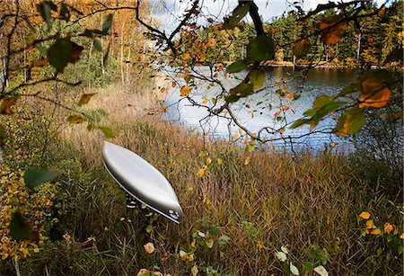 simsearch:6126-08643505,k - Mature man carrying boat through tall grass on lakeshore in autumn forest Stock Photo - Premium Royalty-Free, Code: 6126-09103745