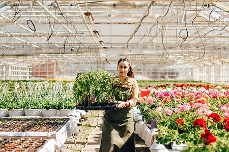 simsearch:649-07280682,k - Garden centre worker holding plants Photographie de stock - Premium Libres de Droits, Code: 6126-09204727