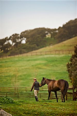 Mid adult woman leading her horse in a grassy pasture. Stock Photo - Premium Royalty-Free, Code: 6128-08766760