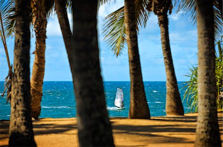 Windsurfer as seen through palm trees on a tropical beach. Stock Photo - Premium Royalty-Free, Code: 6128-08767134