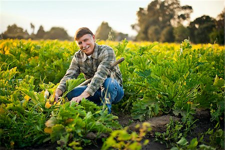 simsearch:693-03312660,k - Portrait of a smiling farmer crouching in a field of crops. Stock Photo - Premium Royalty-Free, Code: 6128-08781034