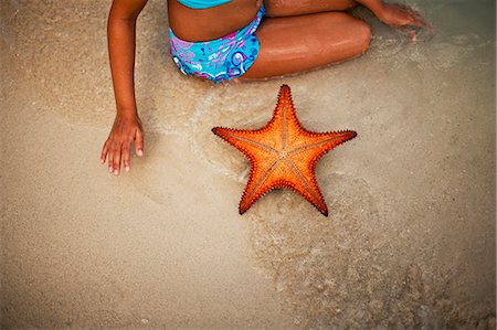 Little girl sits examining a star fish in the shallows. Stock Photo - Premium Royalty-Free, Code: 6128-08798797