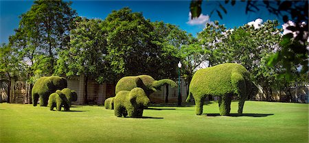 elephas maximus - Elephant topiary in garden. Stock Photo - Premium Royalty-Free, Code: 6128-08799049