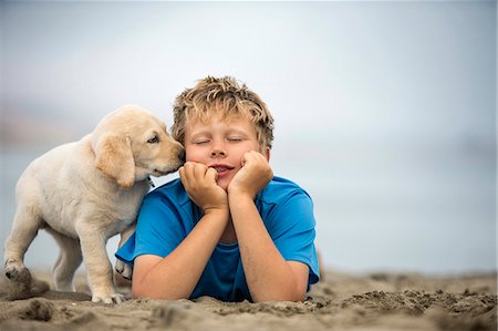 Young boy playing with golden labrador puppy at beach. Stock Photo - Premium Royalty-Free, Code: 6128-08728361