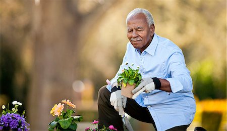 elderly african american male - Senior man tending to his pot plants in the garden. Stock Photo - Premium Royalty-Free, Code: 6128-08737605