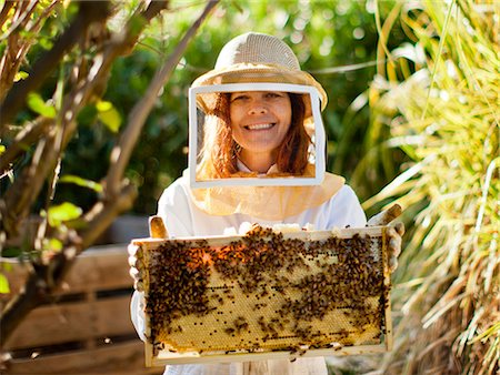 Portrait of a mid adult woman in bee keeper's clothing lifting up part of a bee hive. Stock Photo - Premium Royalty-Free, Code: 6128-08737896