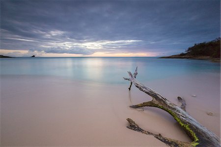 The caribbean sunset frames tree trunks on the beach Hawksbill Bay Caribbean Antigua and Barbuda Leeward Islands West Indies Stock Photo - Premium Royalty-Free, Code: 6129-09058173