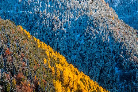 An early snowfall painting the landscape in the Albaredo Valley of Bitto in the Orobie alps Valtellina, Sondrio, Lombardy, Italy Europe Foto de stock - Sin royalties Premium, Código: 6129-09058193