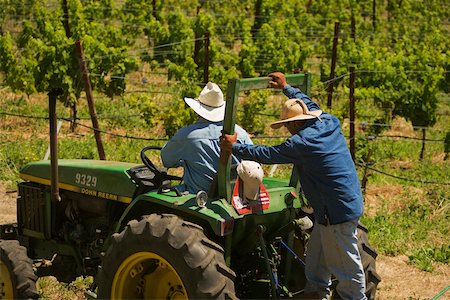 Rear view of two farmers on a tractor Stock Photo - Premium Royalty-Free, Code: 625-00805523