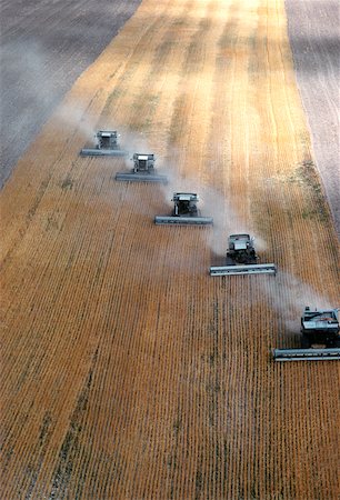 Aerial view of custom harvest combines harvesting wheat, five combines in a role. Wyoming Foto de stock - Sin royalties Premium, Código: 625-00837399