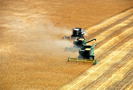 Three combines harvesting wheat in Burlington Stock Photo - Premium Royalty-Free, Code: 625-00837437