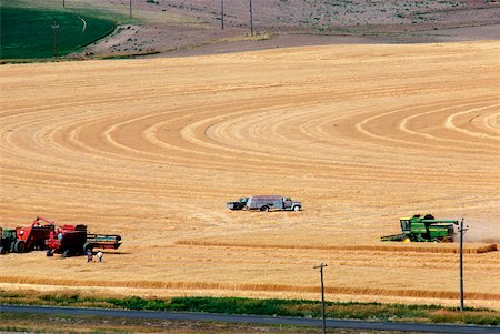 farmer in wheat field - Custom harvest crew with combines in wheat field, Cheyenne, WY Foto de stock - Sin royalties Premium, Código: 625-00837452