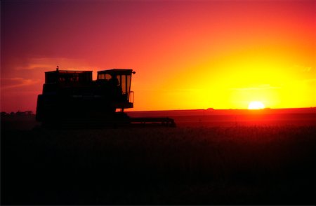 Wheat harvest and a combine with sunset in the background, Burlington ,Colorado Stock Photo - Premium Royalty-Free, Code: 625-00837460