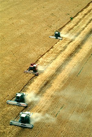 Aerial view of combines harvest wheat near Colorado Foto de stock - Sin royalties Premium, Código: 625-00840415