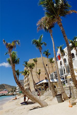 saint martin caribbean - Side view of a beach having palm trees, St. Maarten, Caribbean Stock Photo - Premium Royalty-Free, Code: 625-01040895