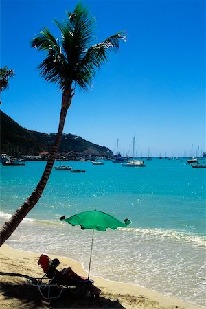 saint martin caribbean - Side view of a beach having palm trees, St, Maarten, Caribbean Stock Photo - Premium Royalty-Free, Code: 625-01040896