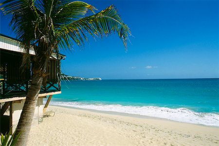 saint martin caribbean - Side view of a vast and calm beach , St. Maarten, Caribbean Stock Photo - Premium Royalty-Free, Code: 625-01040898