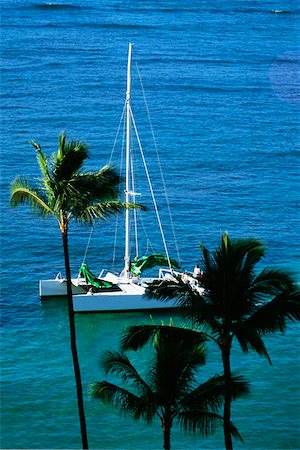 saint martin caribbean - Side view of a sail boat moored into a bay , St. Maarten, Simpson Bay, Caribbean Stock Photo - Premium Royalty-Free, Code: 625-01040900