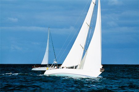 saint martin caribbean - A sailboat participates in the Heiniken Regatta on the Dutch side of the island of St. Maarten in the Caribbean. Stock Photo - Premium Royalty-Free, Code: 625-01040902