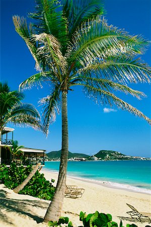 saint martin caribbean - Side view of a calm beach, St. Martin, Caribbean Stock Photo - Premium Royalty-Free, Code: 625-01040920