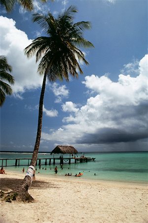 simsearch:625-00903103,k - View of a scenic beach on a sunny day, Pigeon Point, Tobago, Caribbean Stock Photo - Premium Royalty-Free, Code: 625-01041034