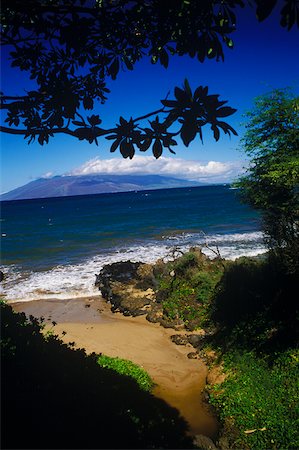 simsearch:625-01098341,k - Rocks and trees on the beach, Hawaii, USA Stock Photo - Premium Royalty-Free, Code: 625-01098366