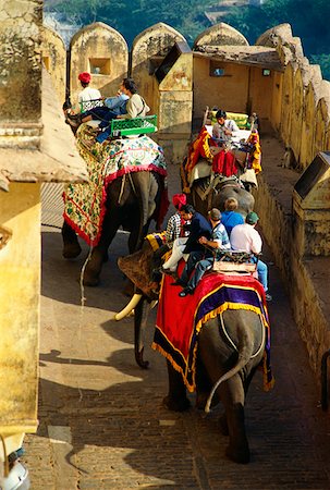 simsearch:700-02693512,k - Tourists on elephants, Jaipur, Rajasthan, India Stock Photo - Premium Royalty-Free, Code: 625-01262621