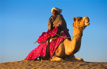 Low angle view of a mid adult man riding a camel in a desert, Rajasthan, India Stock Photo - Premium Royalty-Free, Code: 625-01263325