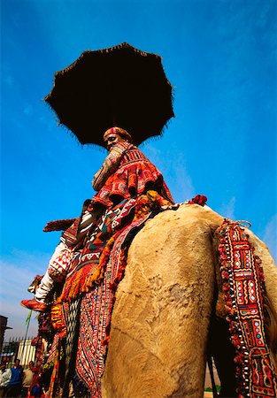 simsearch:857-03553523,k - Low angle view of a mid adult man riding a camel, Jaipur, Rajasthan India Stock Photo - Premium Royalty-Free, Code: 625-01263572